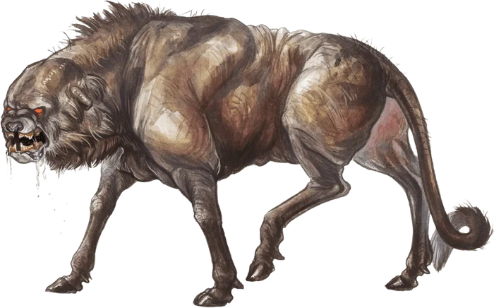 Leucrotta.webp300